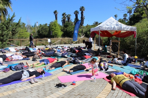 Jornada yoga (5)