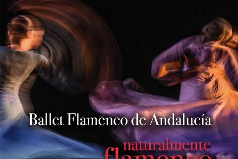 03. Ballet Flamenco Andalucía