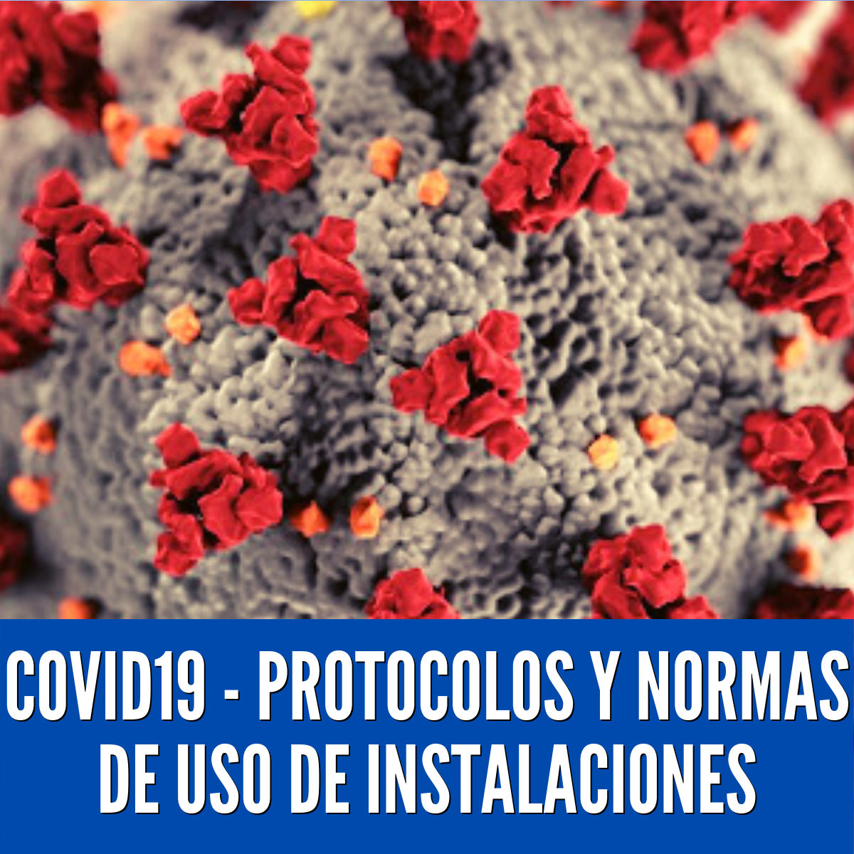 COVID19 PROTOCOLOS Y NORMAS