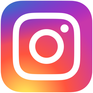 Logo-de-Instagram-Logo-Instagram-Vector-300x300