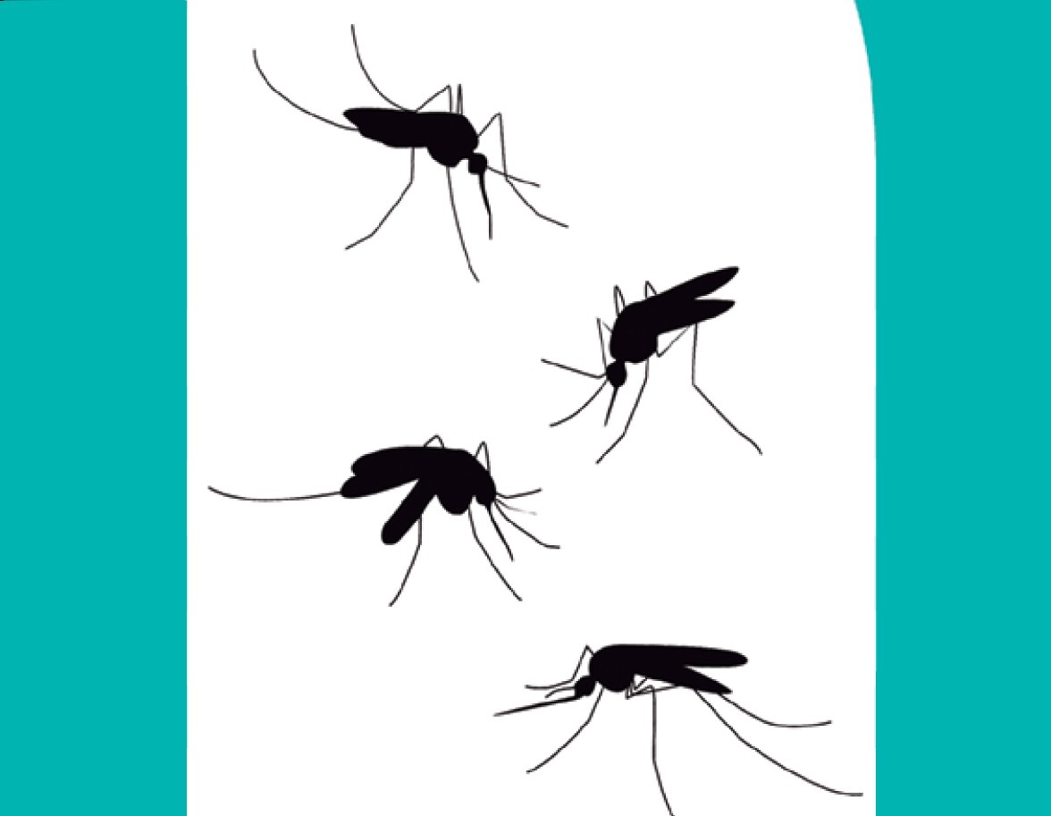 tesela mosquitos 2021